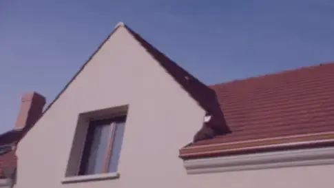 démoussage toiture à Saint-Thuriau - image 3